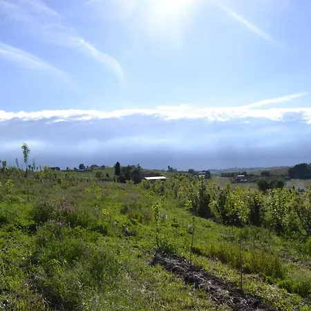 Boschetto * Recanati