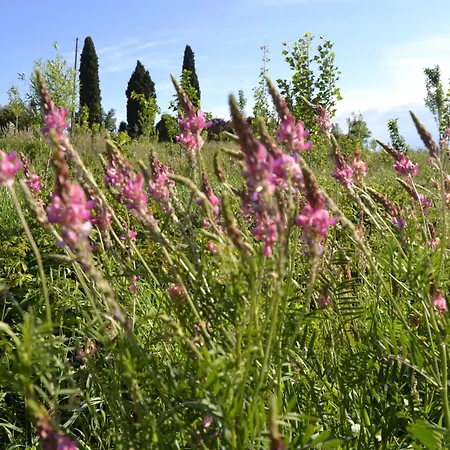 Apartamento Boschetto