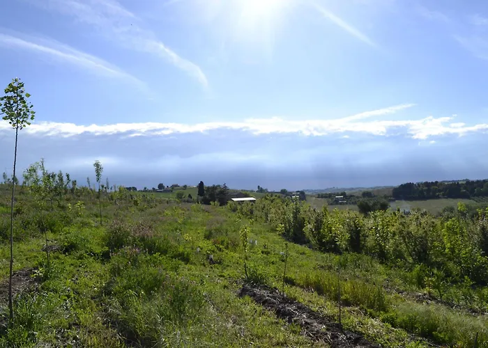 Boschetto * Recanati