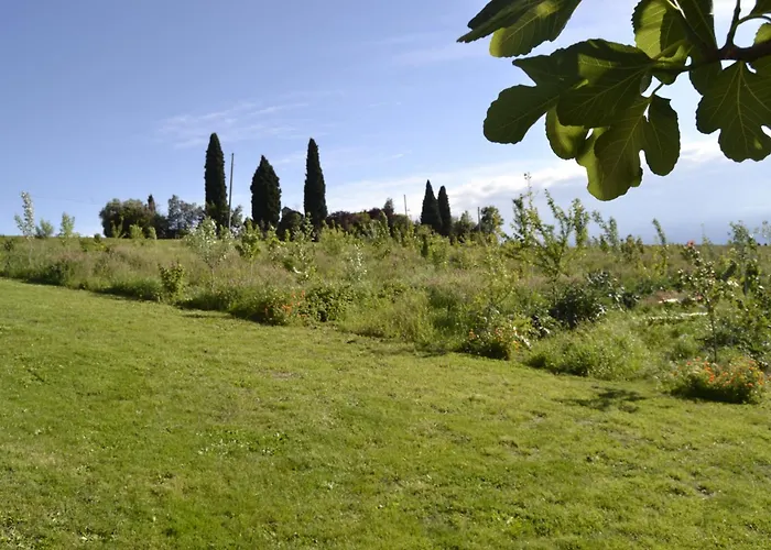 Boschetto * Recanati