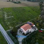 Boschetto רקאנטי