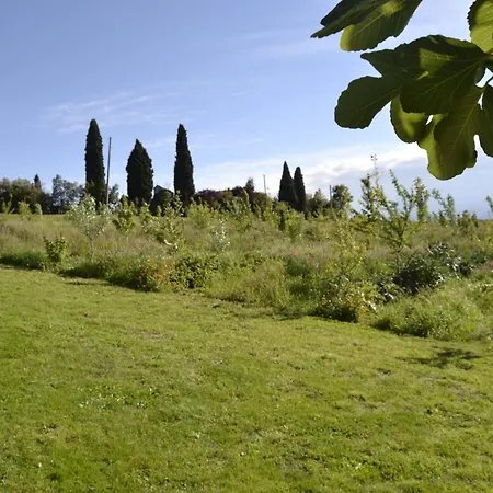 Boschetto * 레카나티